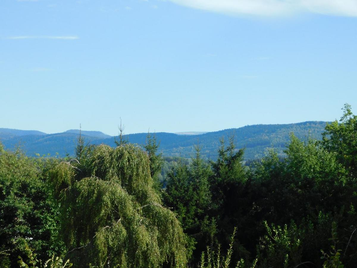 L'Amandaure Bed & Breakfast Saulcy-sur-Meurthe Eksteriør bilde