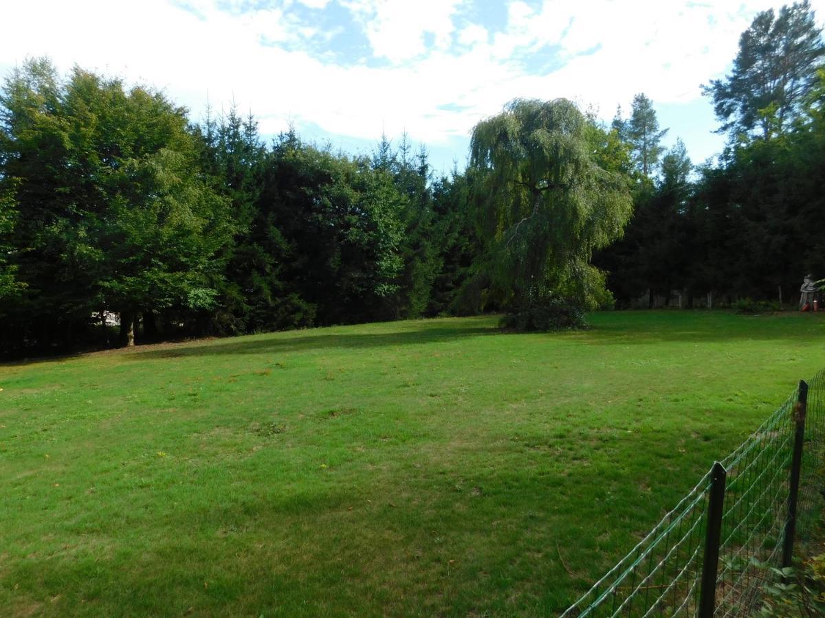 L'Amandaure Bed & Breakfast Saulcy-sur-Meurthe Eksteriør bilde