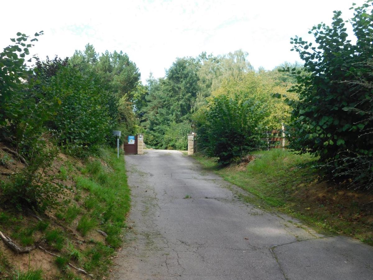 L'Amandaure Bed & Breakfast Saulcy-sur-Meurthe Eksteriør bilde